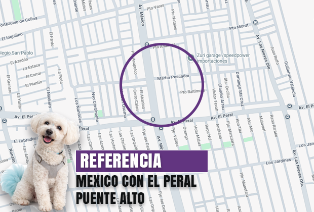 Zona de cobertura Perrichic — Puente Alto y comunas del sur de Santiago